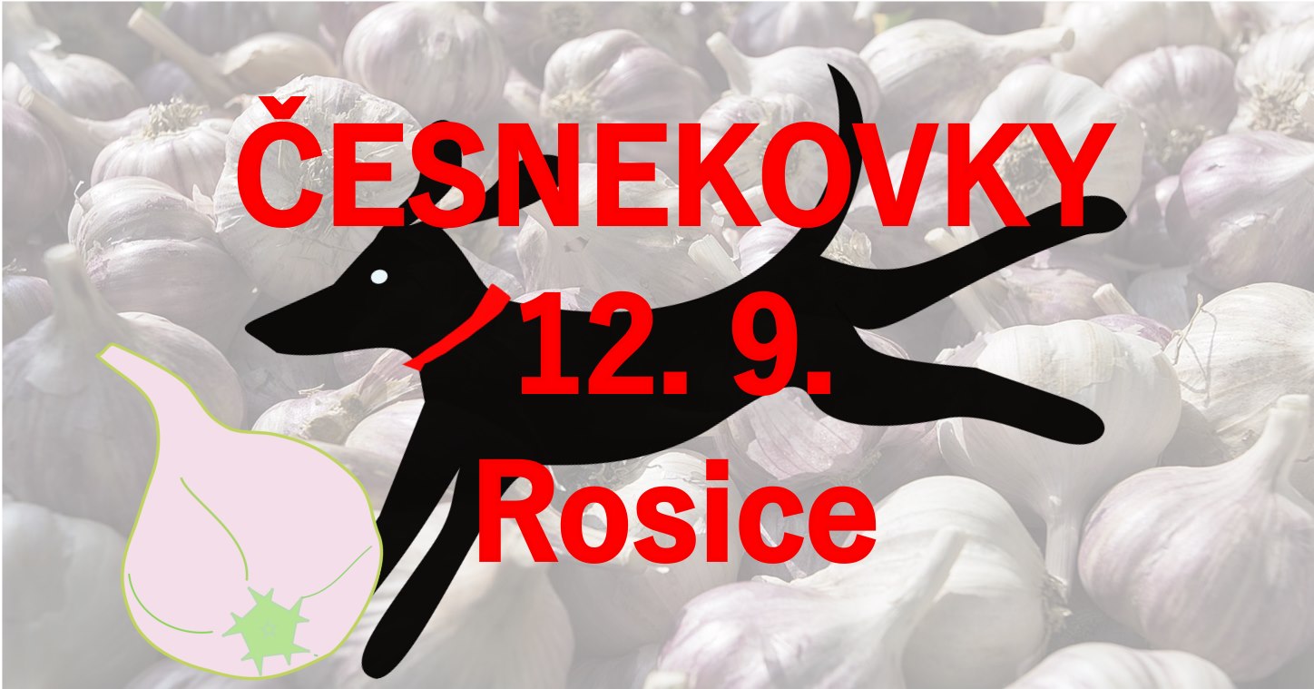12.9.Rosice Česnekovky