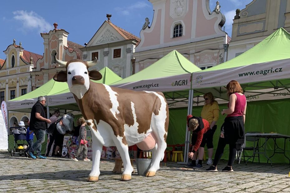 Telc krava 1 930x620