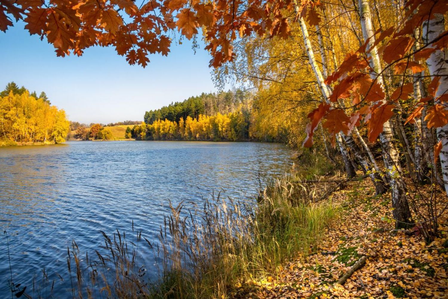 Foto: Jaroslav Macháček, fotosoutěž Kahanu 2021
