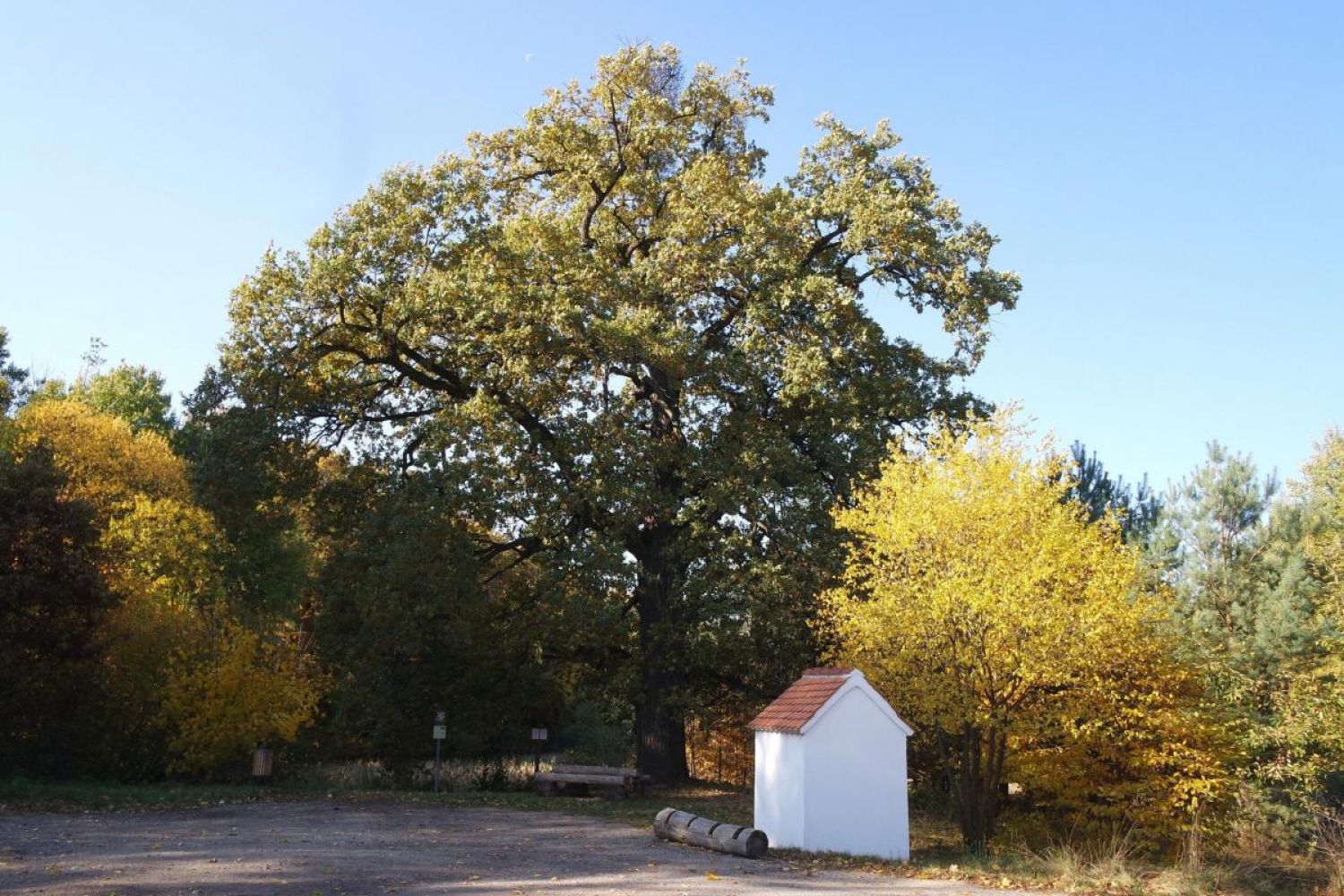 Foto: Hana Lerchová, fotosoutěž Kahanu 2021