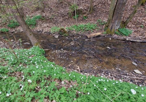 Výšlap Chroustovským údolím