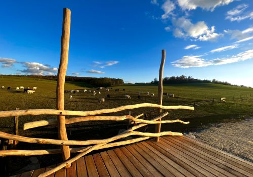 Z Neslovic do Tetčic bez funění